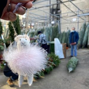 Meet your Posher, Jen